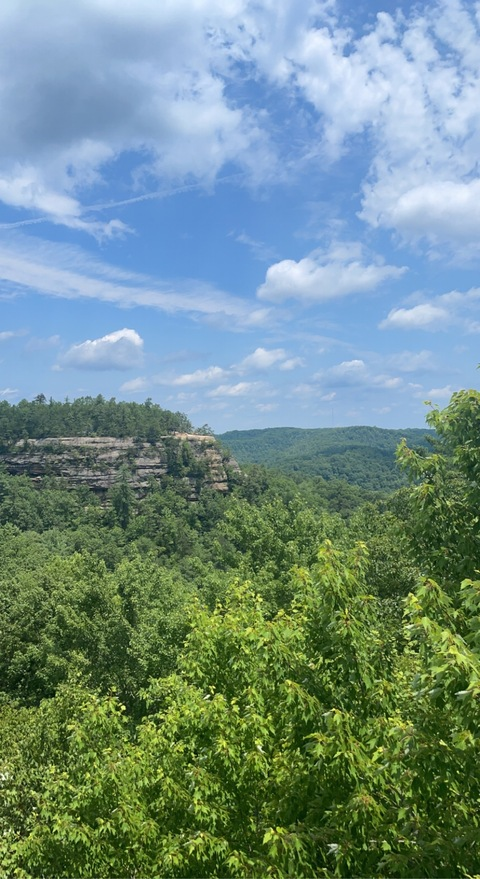 Video leaks lna_cali