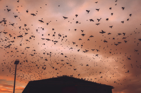 Video leaks loivelygirl