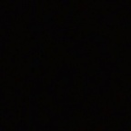 longlegz Profile Picture