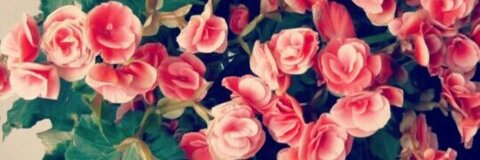 Video leaks loollypop24
