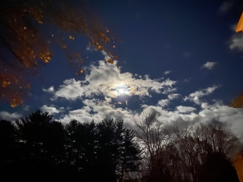 Video leaks lorissaanne