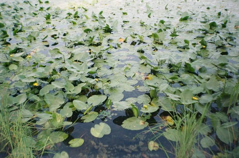 Video leaks loveloveloveloveu