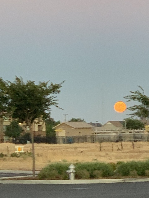 Video leaks lovelymaudii