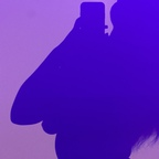 lovelyvenuskp Profile Picture