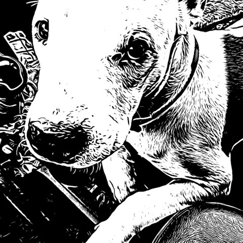 Video leaks loverboi87