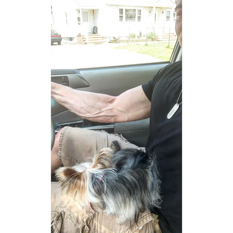 Video leaks luigidemao