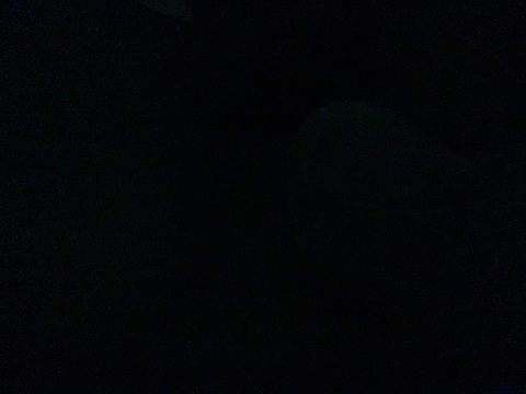 Video leaks lulbenzie_