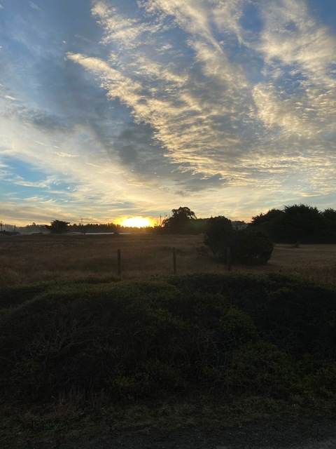 Video leaks lumberlass