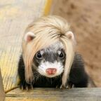 mac76 Profile Picture