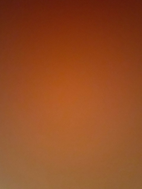 Video leaks maegan