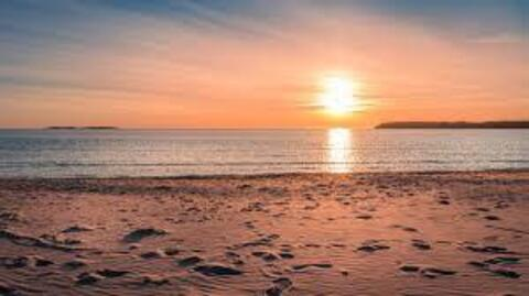 Video leaks maggieparks