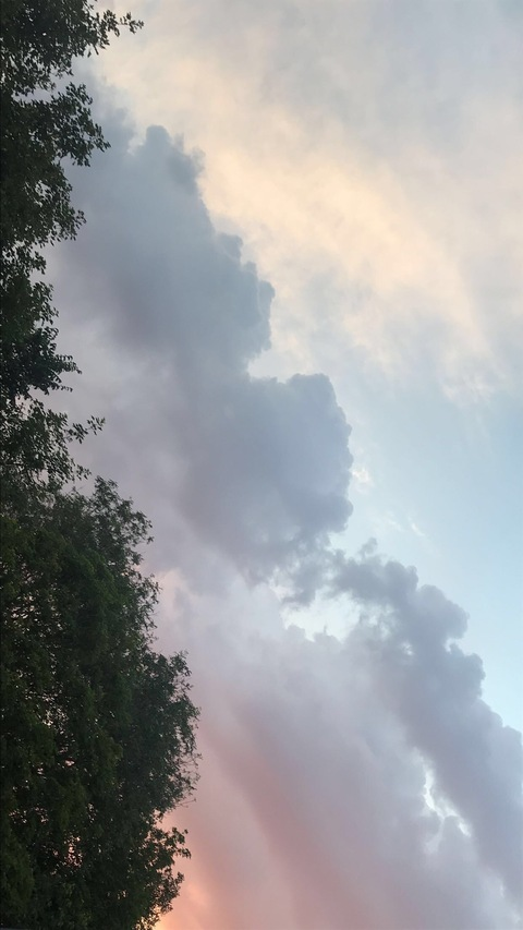 Video leaks mainjacob1234