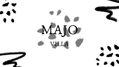 Video leaks majovilla95