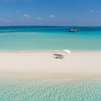 Onlyfans leak maldives 

 profile picture