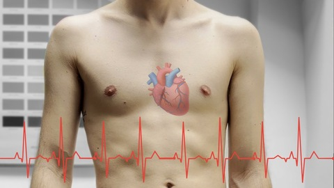 Video leaks maleheartbeats