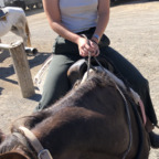 Download manicpixiecowgirl OnlyFans content for free 

 profile picture