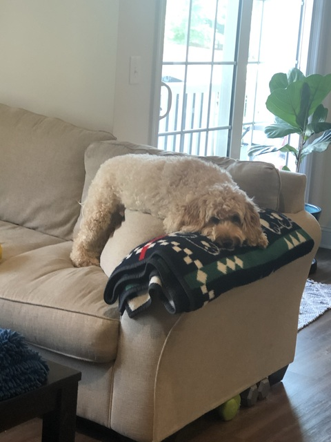 Video leaks marnie20