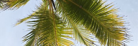 Video leaks marvinviquez