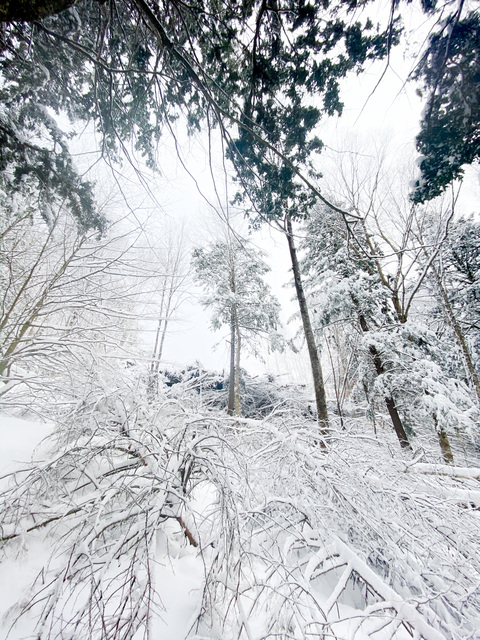 Video leaks masonwoods420