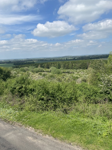 Video leaks mat_l1990