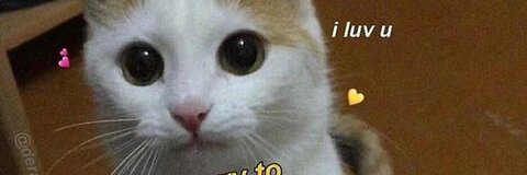 Video leaks mattihorni