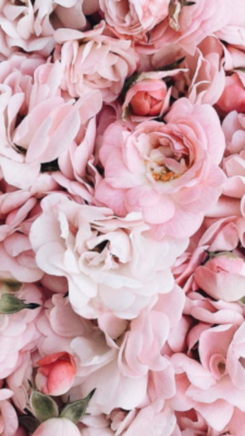 Header of maybemiaxo