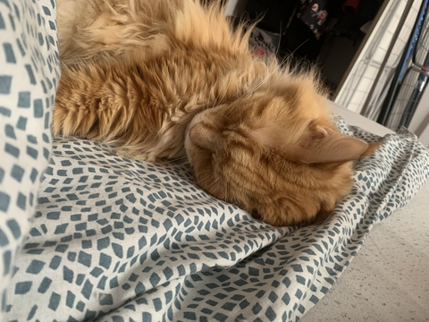 Video leaks mclover1029