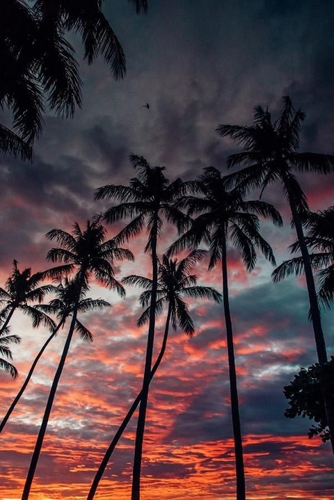 Video leaks mel.trinca