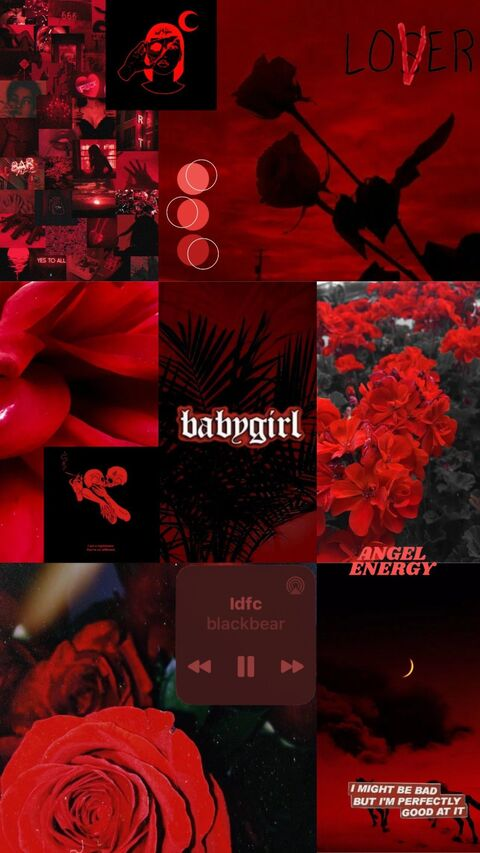 Video leaks meow_fallon