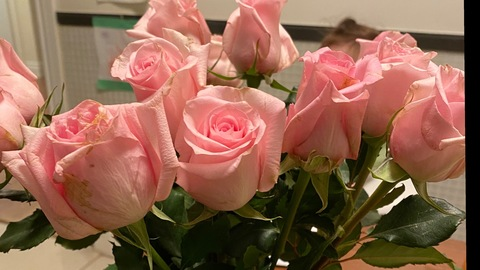 Video leaks meowthaliaa