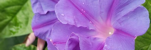 Video leaks miamilove89