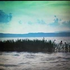 miauuu Profile Picture