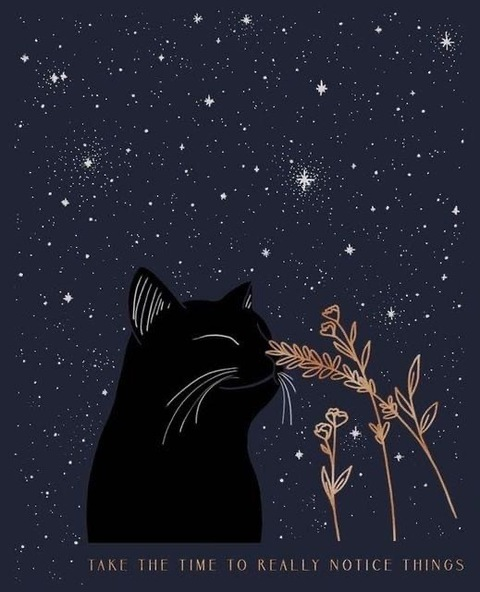 Video leaks michellebell43