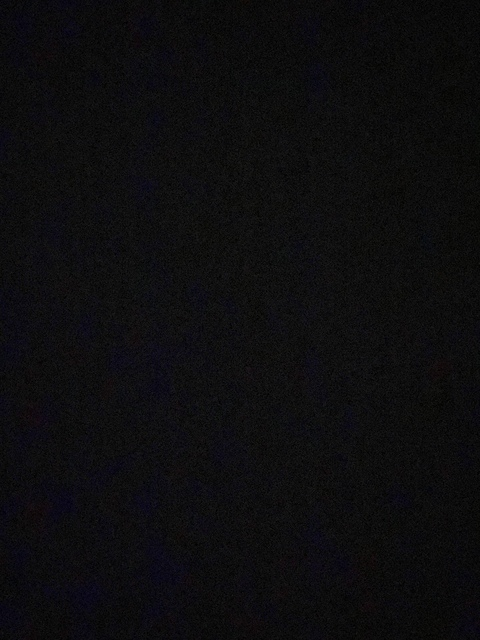 Video leaks michiganbwc