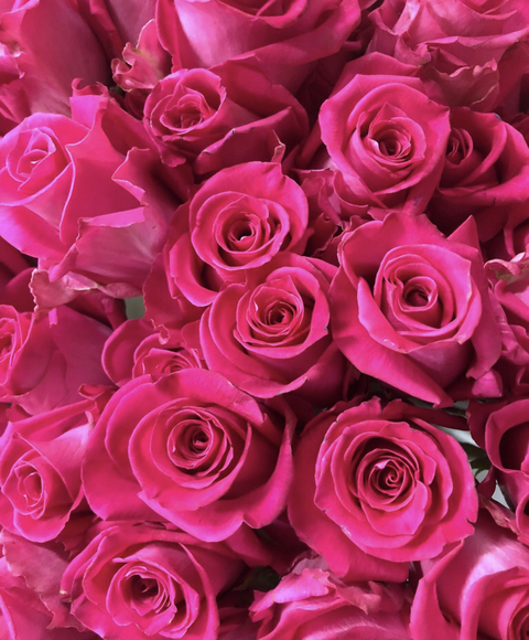 Video leaks michyyyyofficial