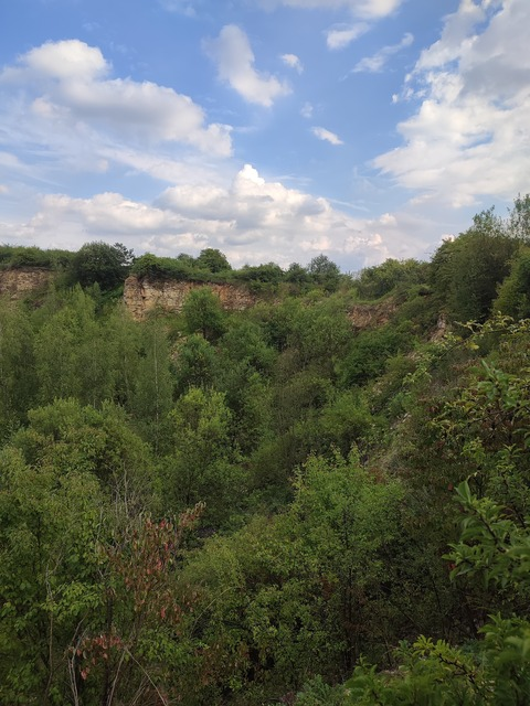 Video leaks mickeyymouse