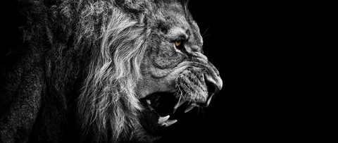 Video leaks mikey_mikey