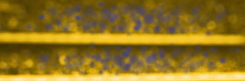 Video leaks millan25m