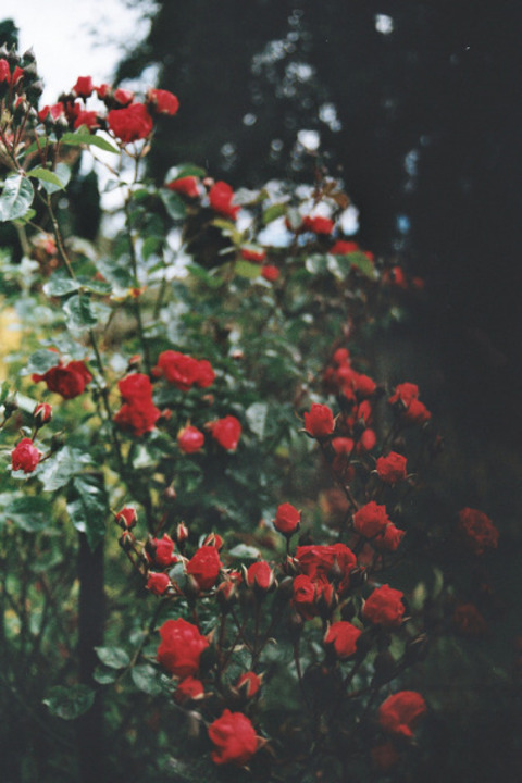 Video leaks minaangel