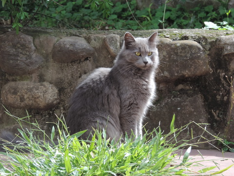 Video leaks minina420