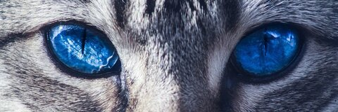 Video leaks minoufelin