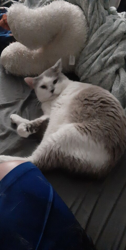 Video leaks miss.bitch