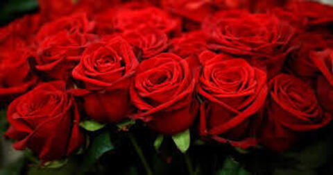 Video leaks miss_melrose