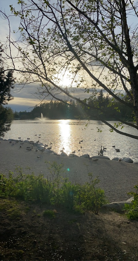 Video leaks missbrunette25