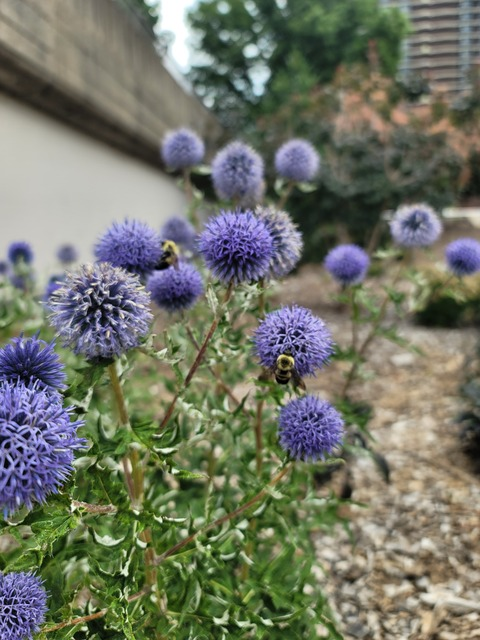 Video leaks missm0nstera