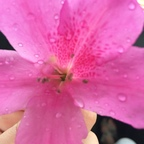 Onlyfans leaks missmarry 

 profile picture