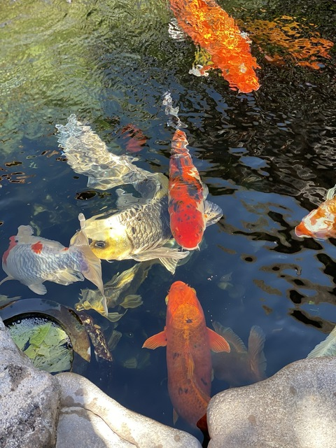 Video leaks missmayamayhem33