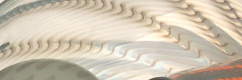 Video leaks missriah