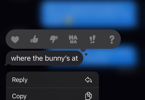 Video leaks misstmarley