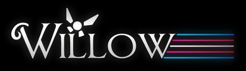 Video leaks misswillowfaye